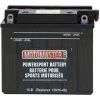 MOTOMASTER Powersports Battery, 16-B