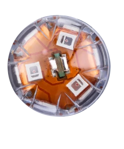 MotoMaster 7443R OEPLUS® LED Mini Bulbs, 2-pk 11 MotoMaster 7443R OEPLUS® LED Mini Bulbs, 2-pk -Cheap MotoMaster Store 7443rled bp2 led mini bulb fb38f138 5fca 4215 9766 6605b875e4e2