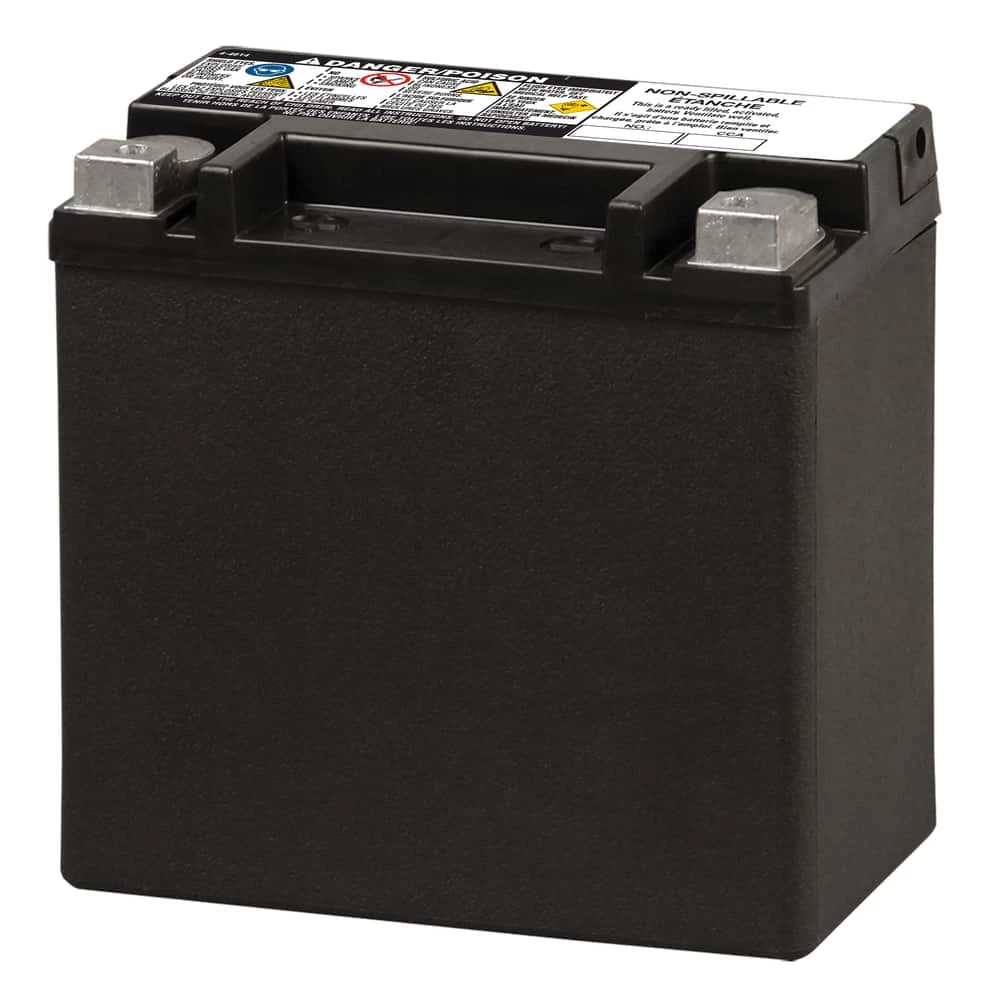 MOTOMASTER AGM Group Size 400 Auxiliary Battery, 200 CCA 4 MOTOMASTER AGM Group Size 400 Auxiliary Battery, 200 CCA - Image 4