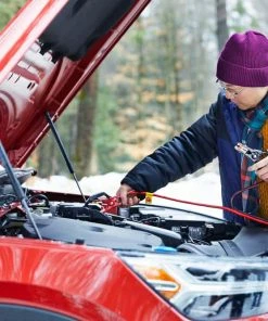 MotoMaster Medium-Duty Booster/Jumper Cables, 4-Gauge, 16-ft -Cheap MotoMaster Store motomaster 4ga 16ft booster cables dc5fb7af 5be8 495d b696 2033cdd2ee8b