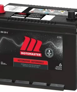 MOTOMASTER Group Size 124 Battery, 700 CCA