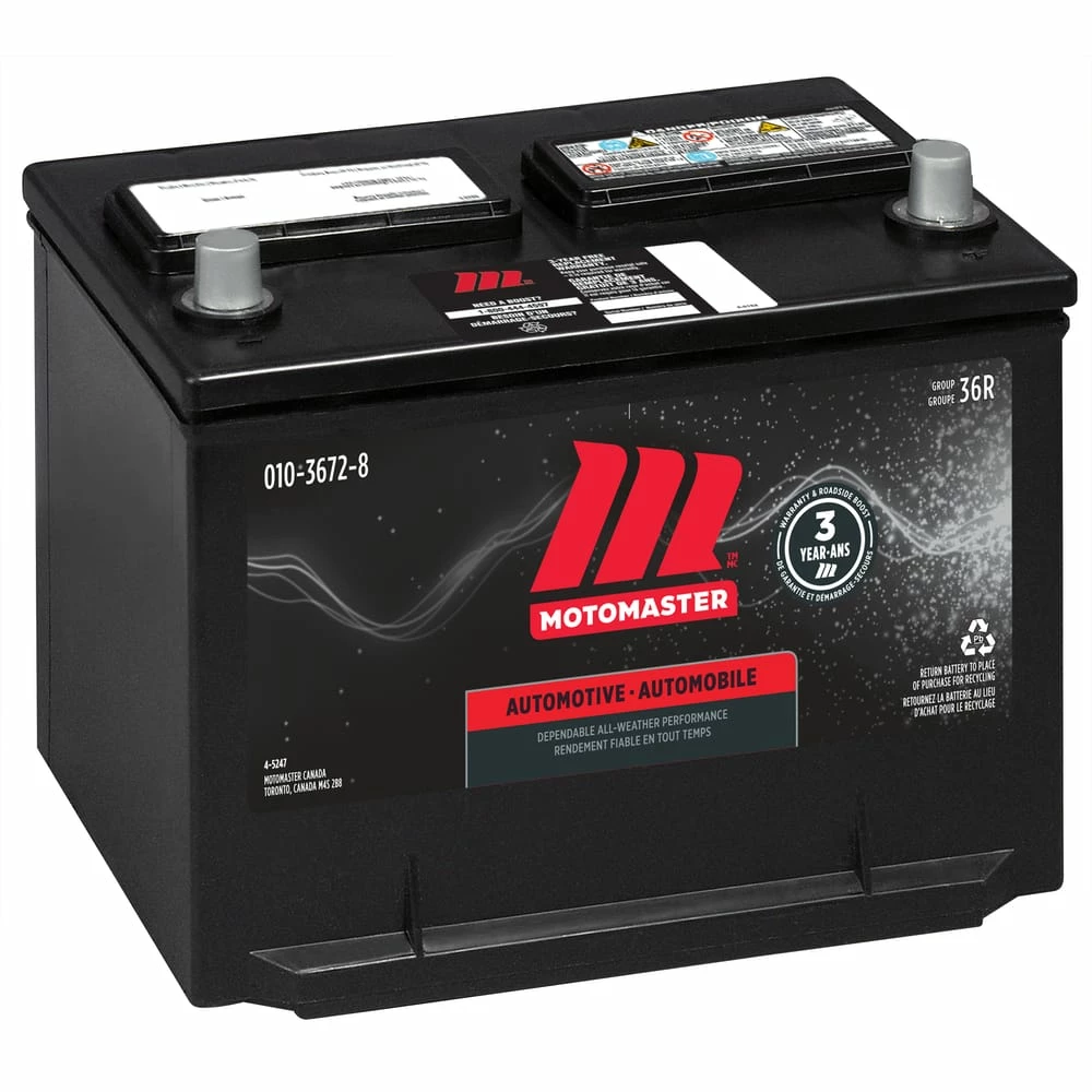 MOTOMASTER Group Size 36R Battery, 650 CCA 2 MOTOMASTER Group Size 36R Battery, 650 CCA - Image 2