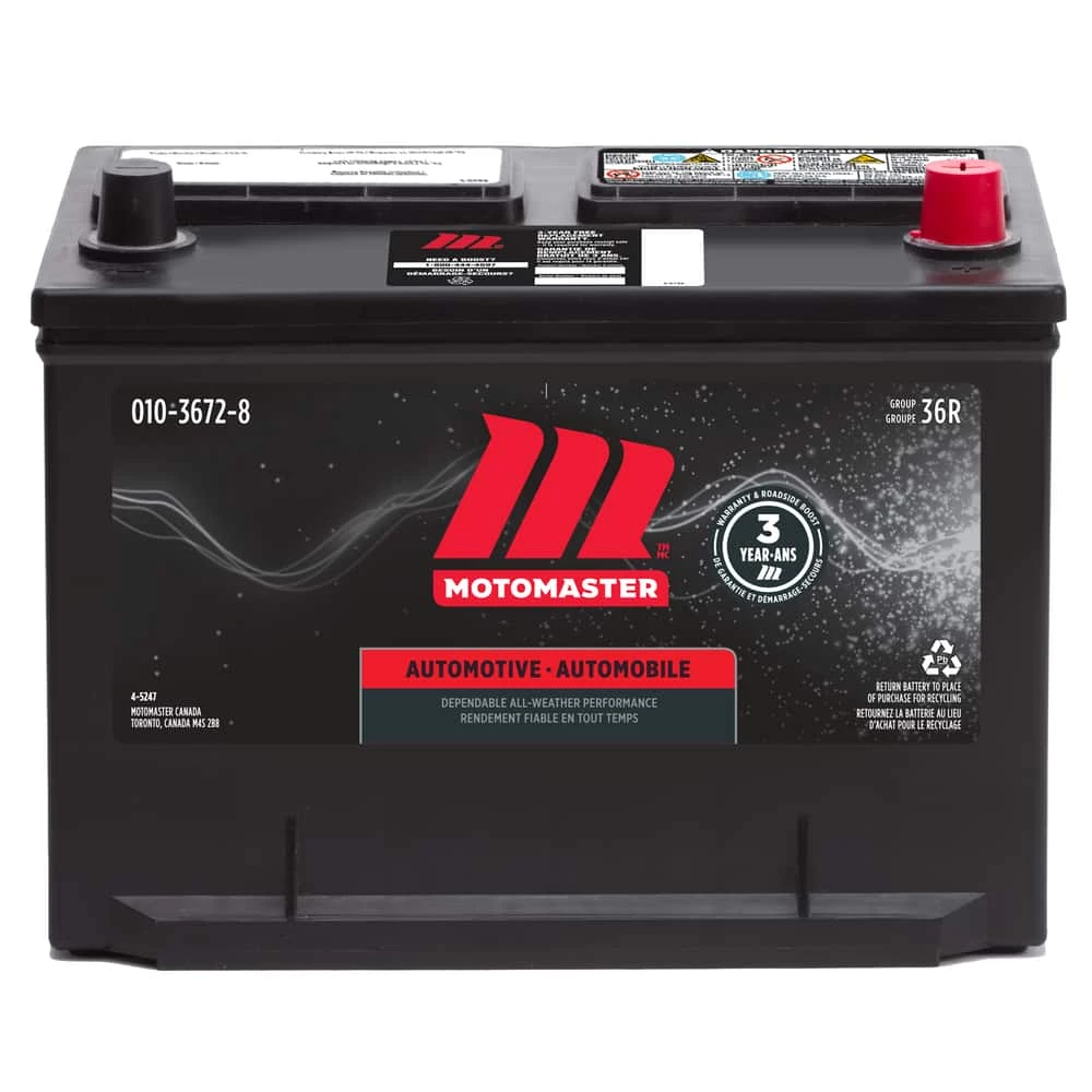MOTOMASTER Group Size 36R Battery, 650 CCA 1 MOTOMASTER Group Size 36R Battery, 650 CCA