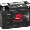 MOTOMASTER Group Size 41 Battery, 650 CCA